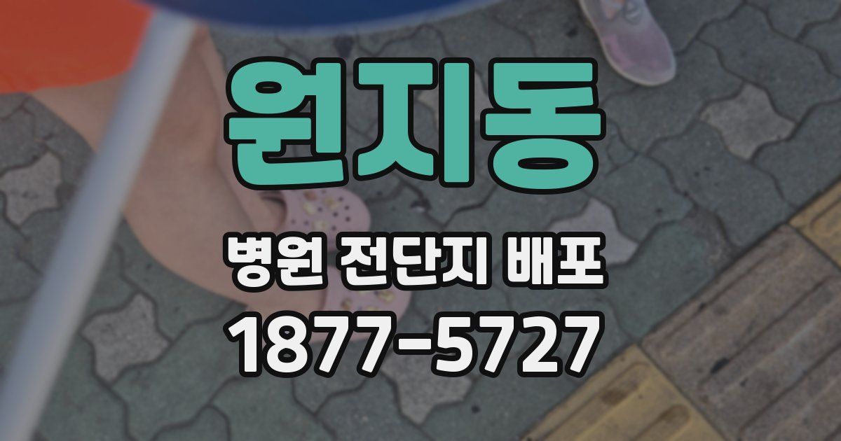 원지동 병원 전단지 배포