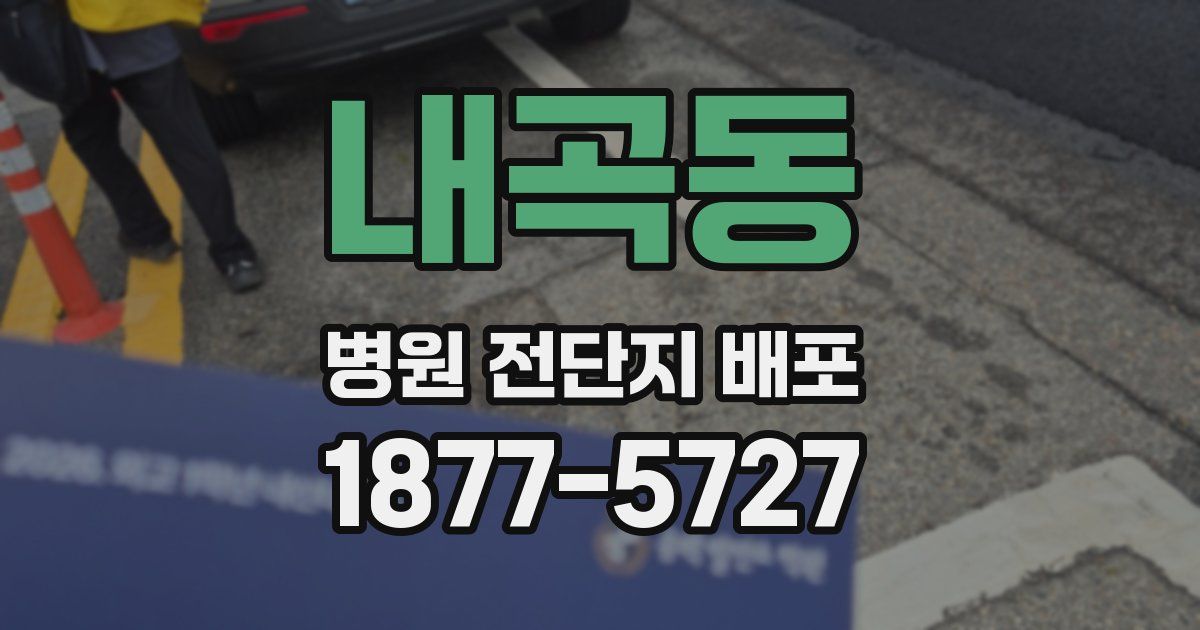 내곡동 병원 전단지 배포