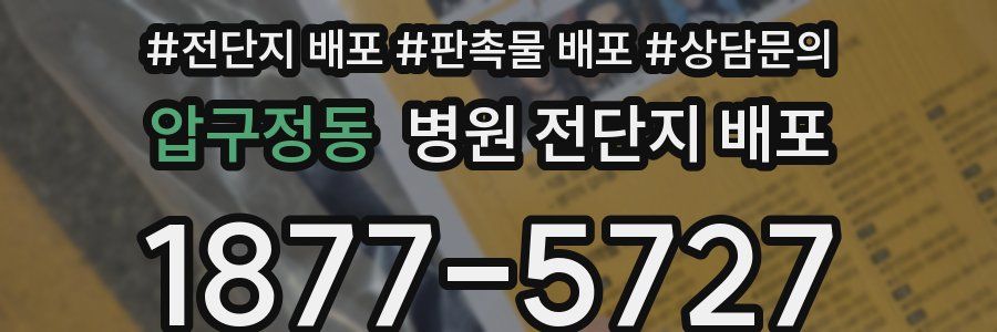압구정동 병원 전단지 배포