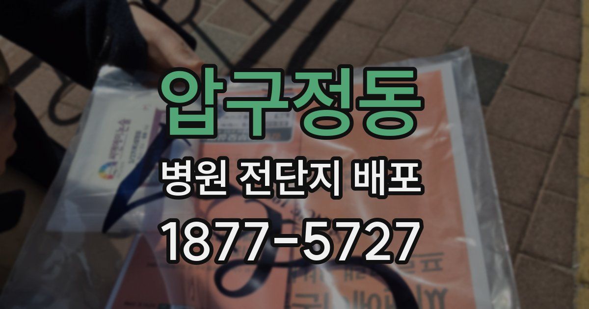 압구정동 병원 전단지 배포