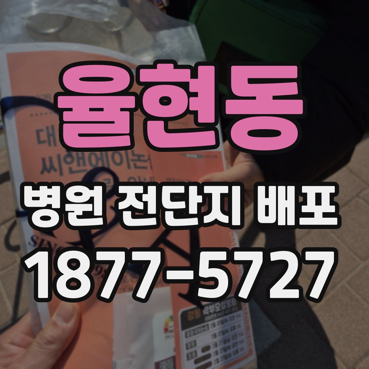 율현동 병원 전단지 배포