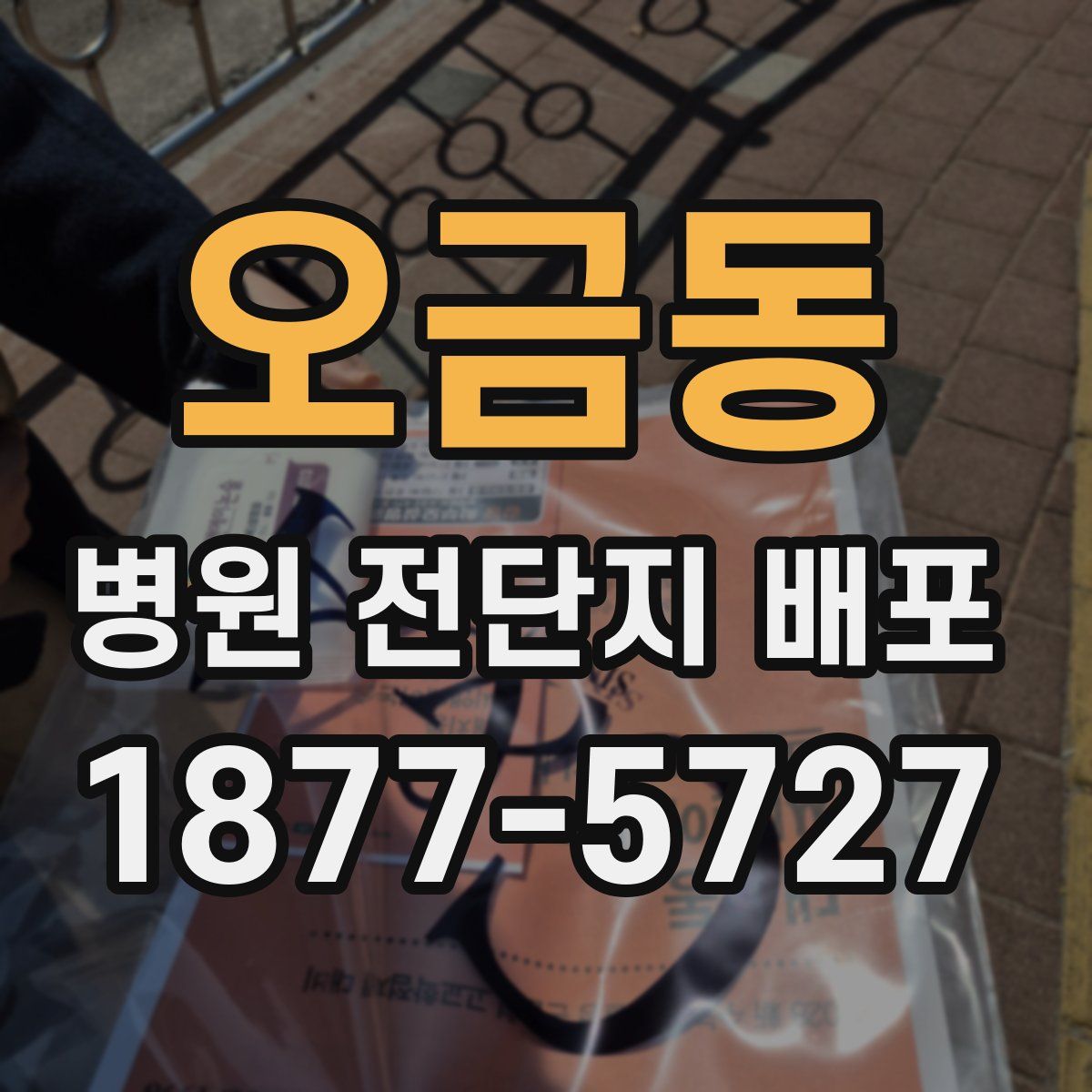 오금동 병원 전단지 배포