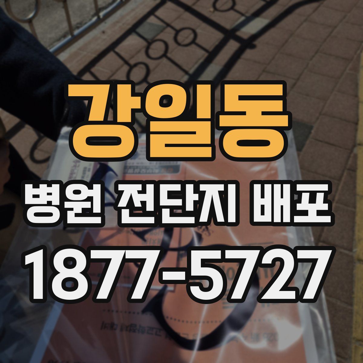 강일동 병원 전단지 배포