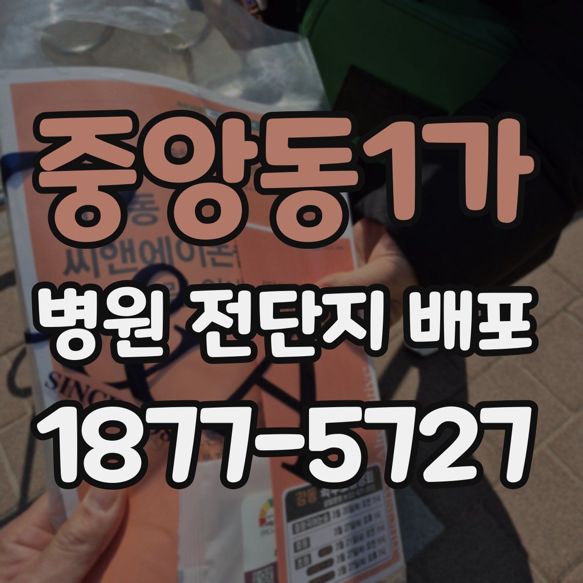 중앙동1가 병원 전단지 배포