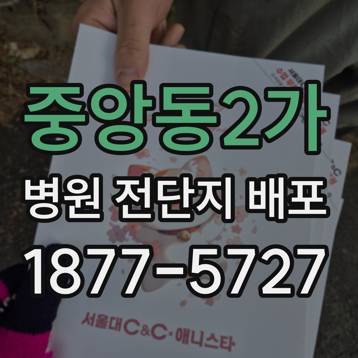 중앙동2가 병원 전단지 배포
