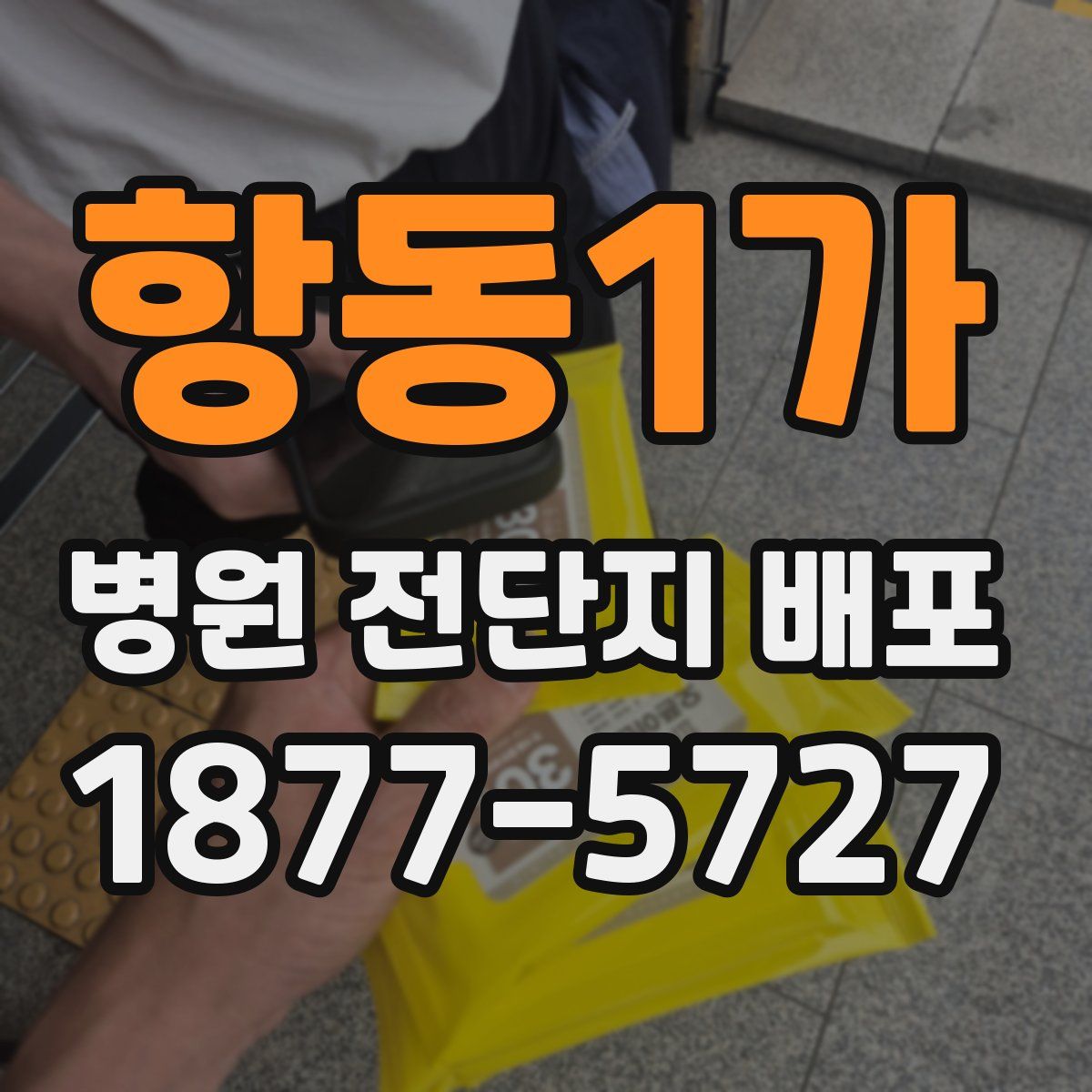 항동1가 병원 전단지 배포