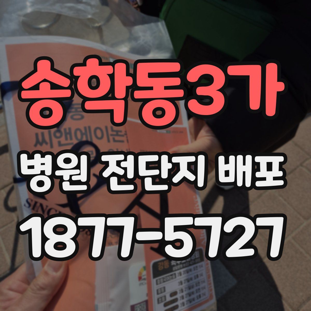 송학동3가 병원 전단지 배포