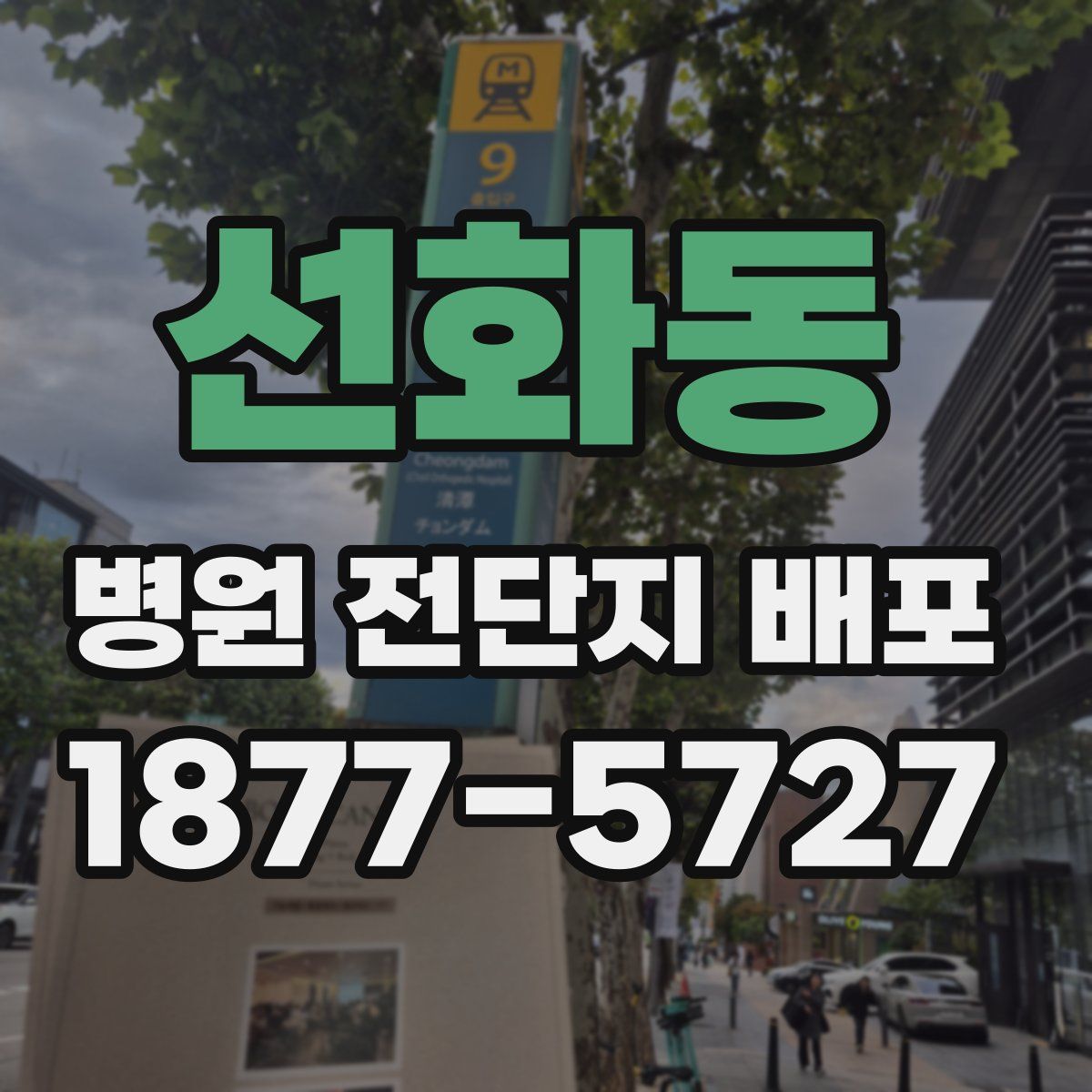 선화동 병원 전단지 배포