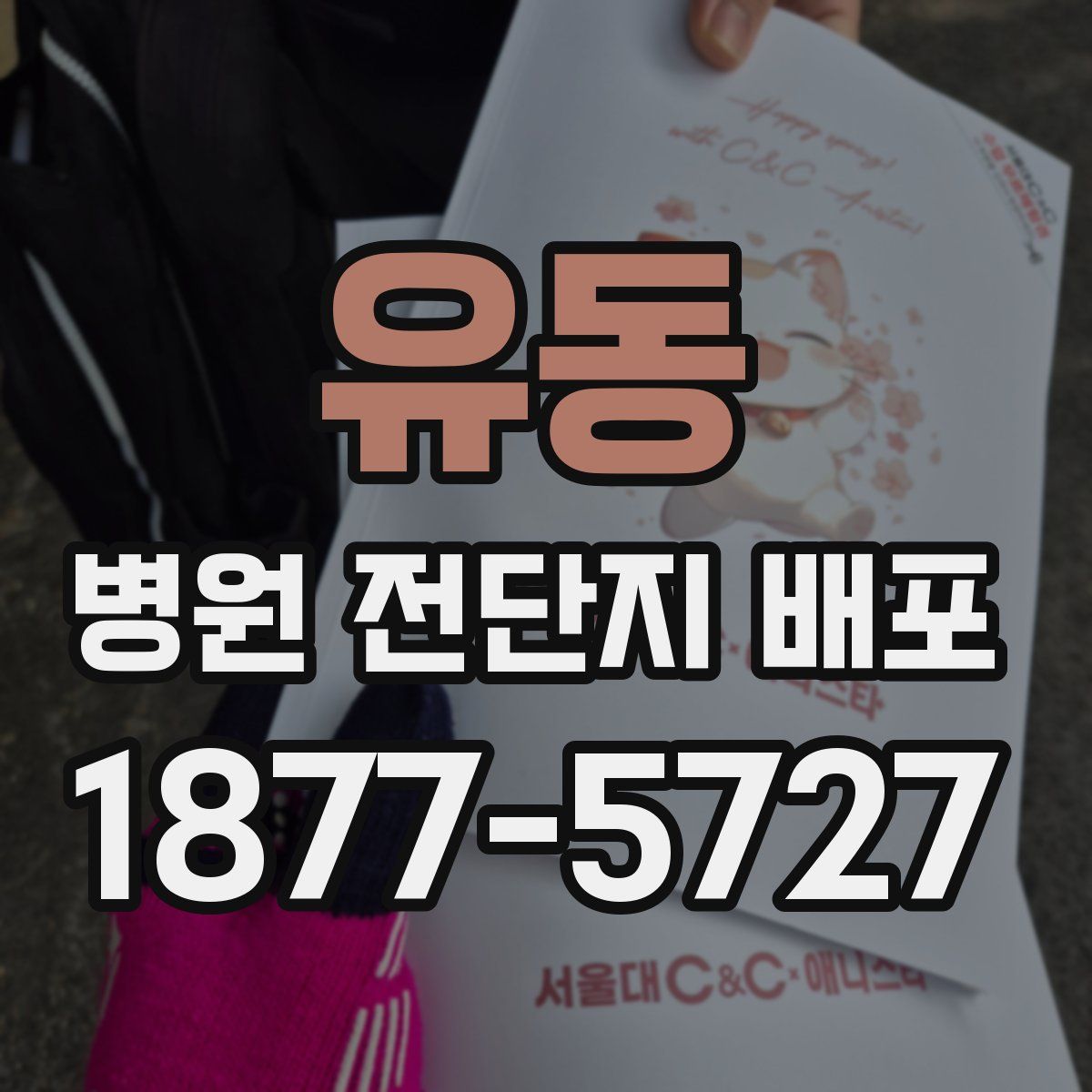 유동 병원 전단지 배포