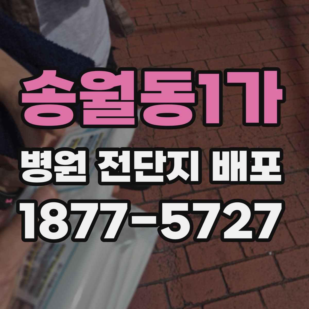 송월동1가 병원 전단지 배포