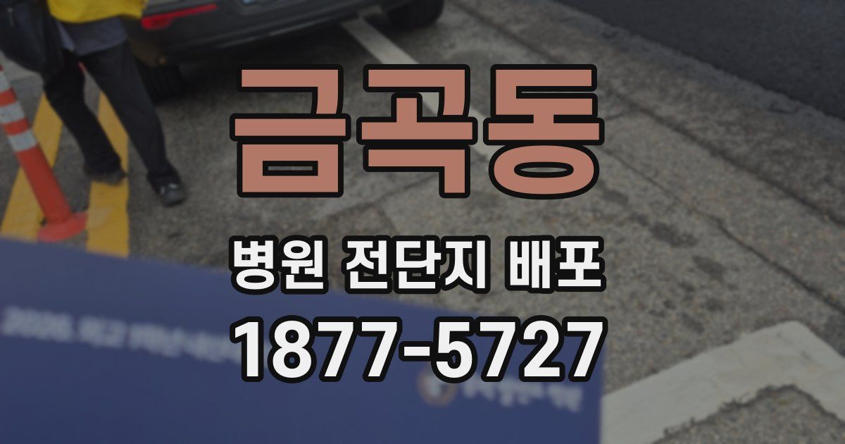 금곡동 병원 전단지 배포