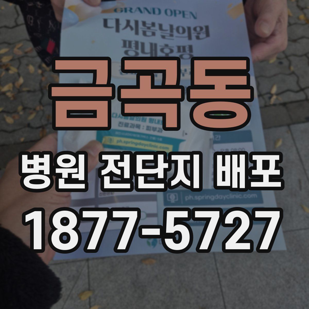 금곡동 병원 전단지 배포