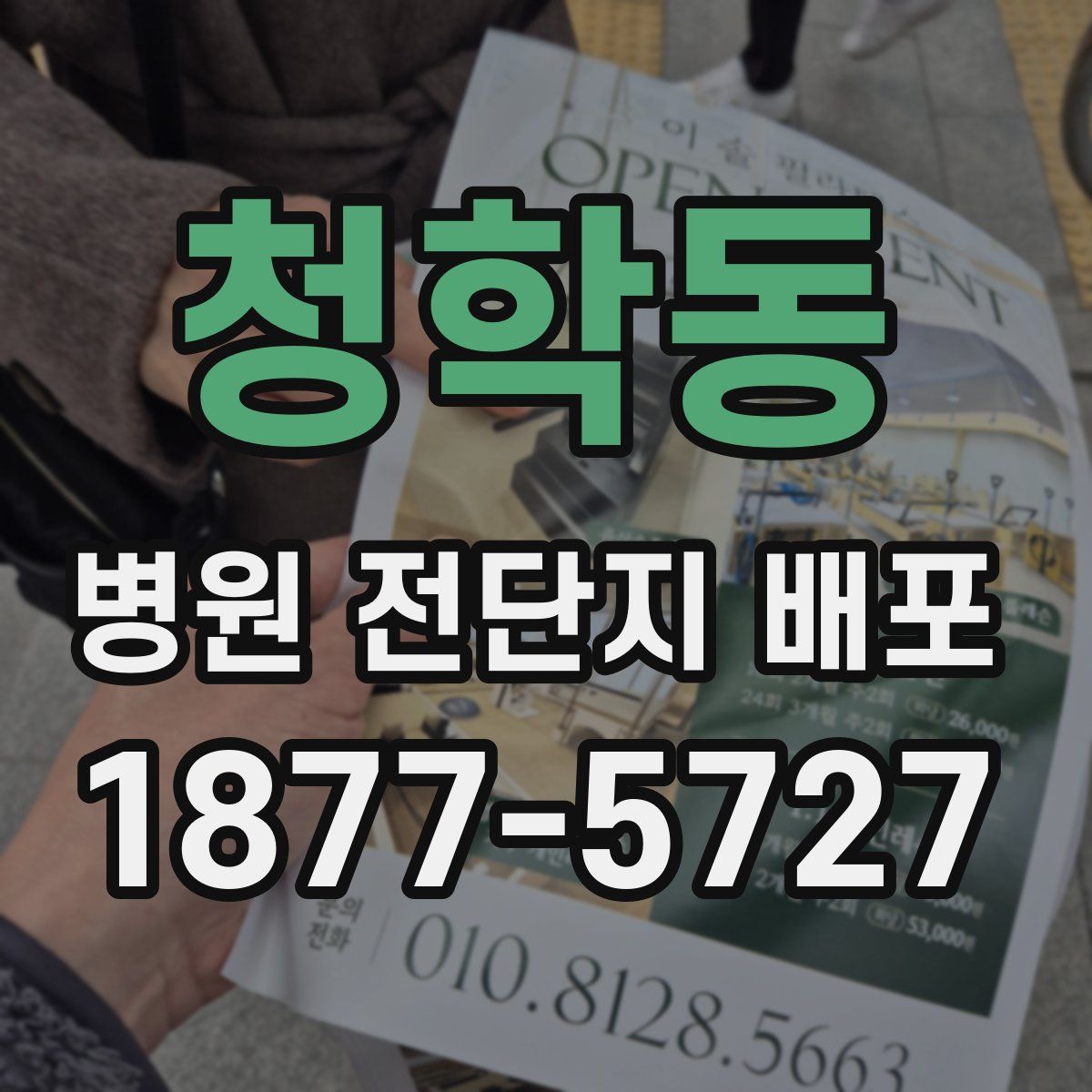 청학동 병원 전단지 배포