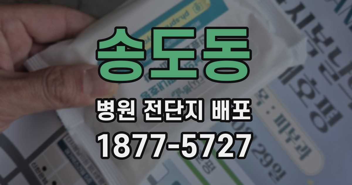 송도동 병원 전단지 배포