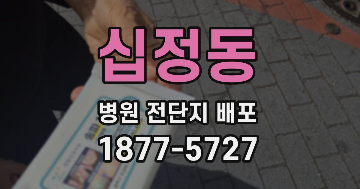 십정동 병원 전단지 배포