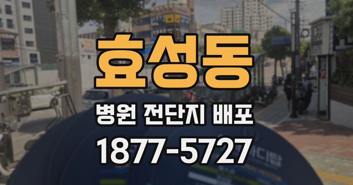 효성동 병원 전단지 배포