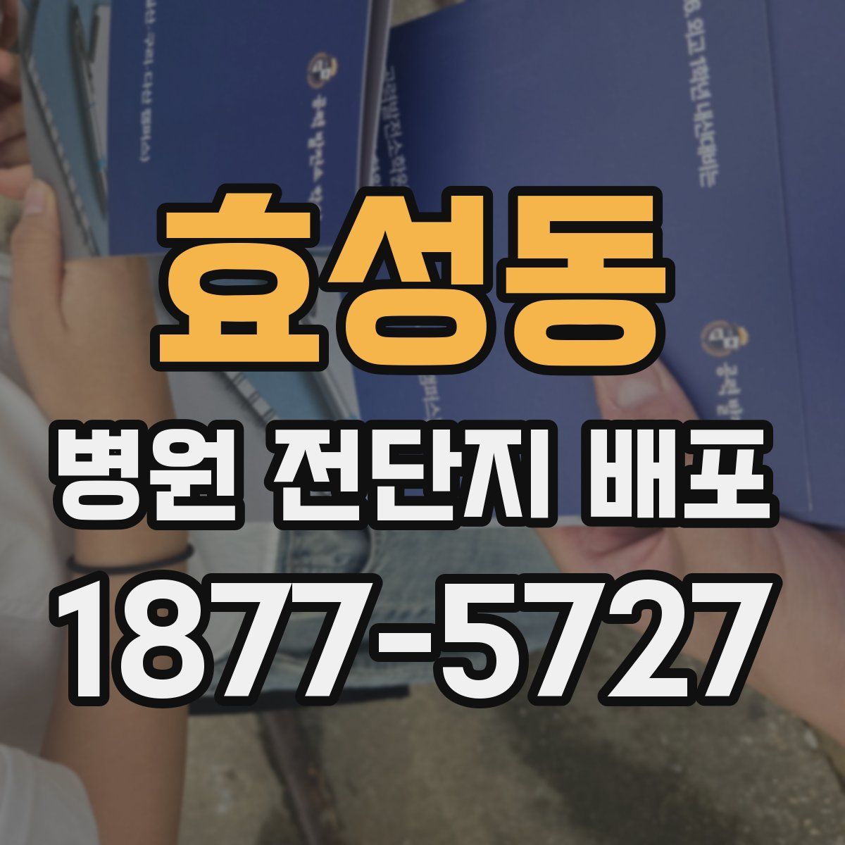 효성동 병원 전단지 배포