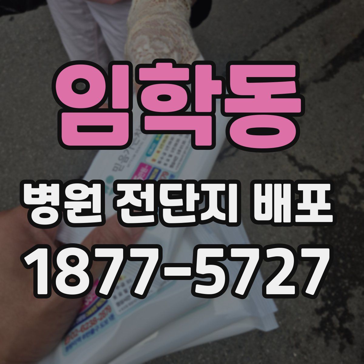 임학동 병원 전단지 배포