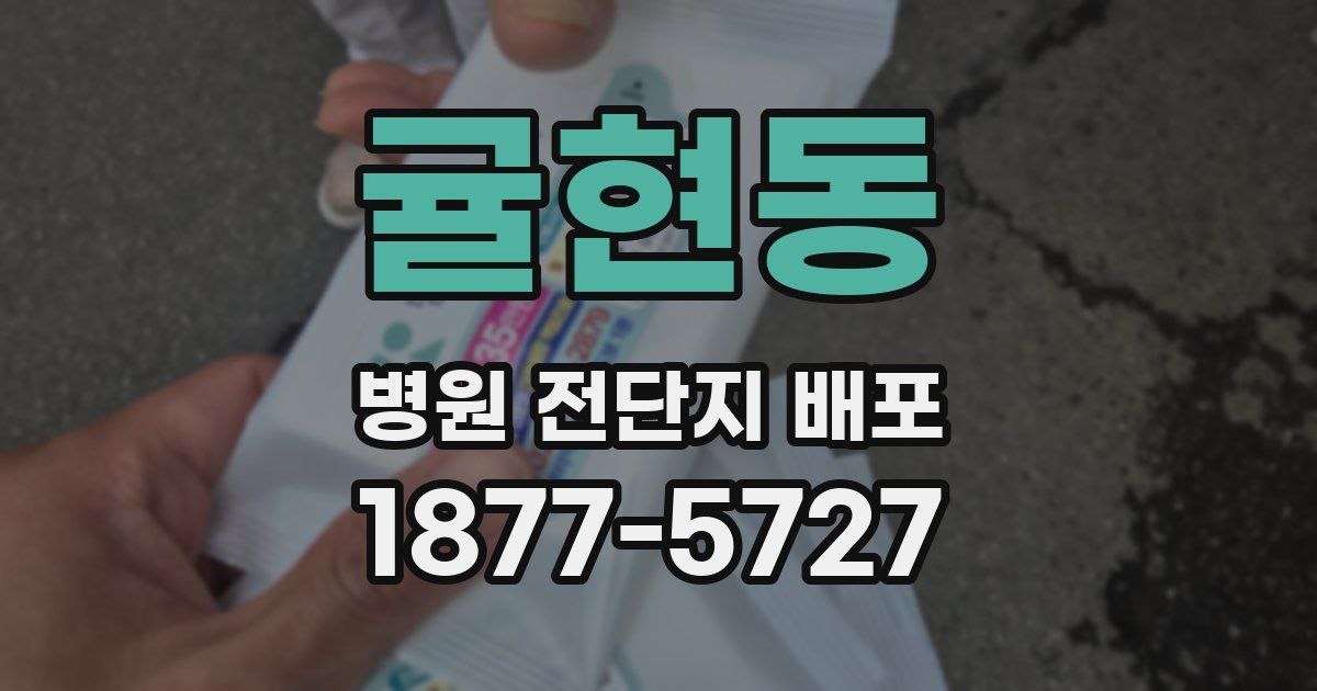 귤현동 병원 전단지 배포