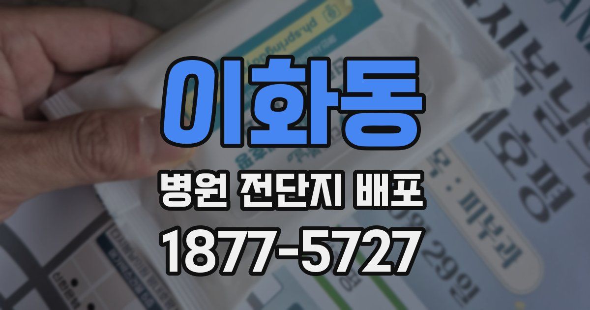 이화동 병원 전단지 배포