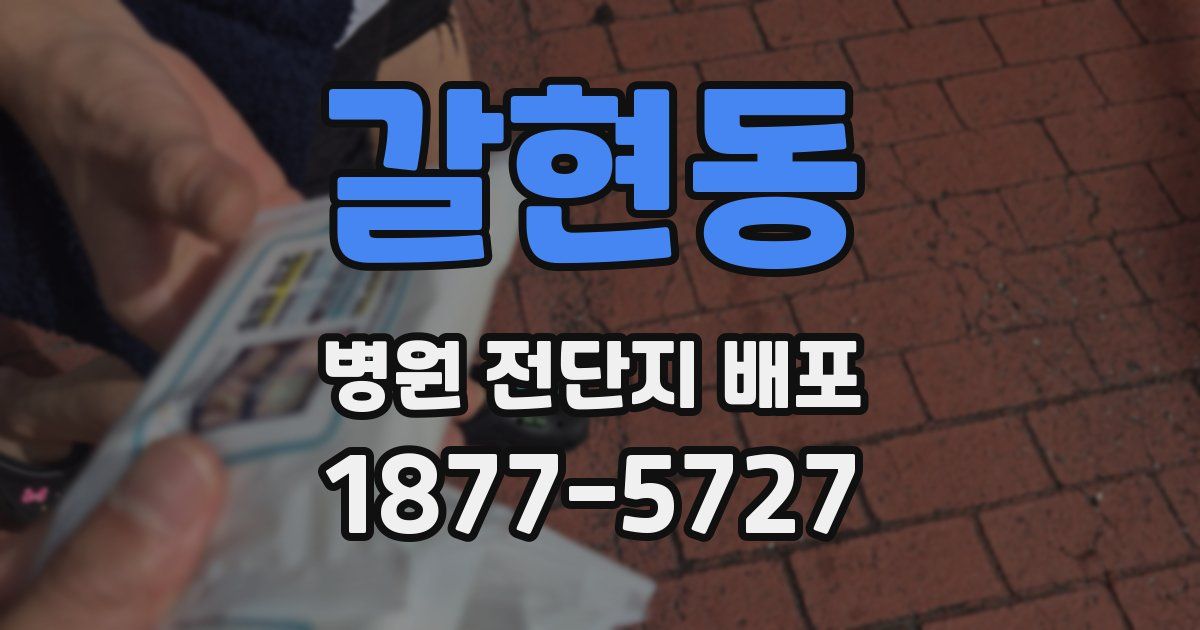 갈현동 병원 전단지 배포