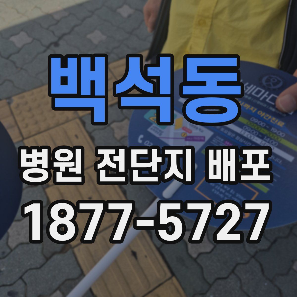 백석동 병원 전단지 배포