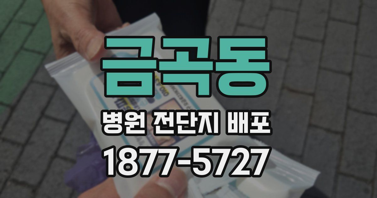 금곡동 병원 전단지 배포
