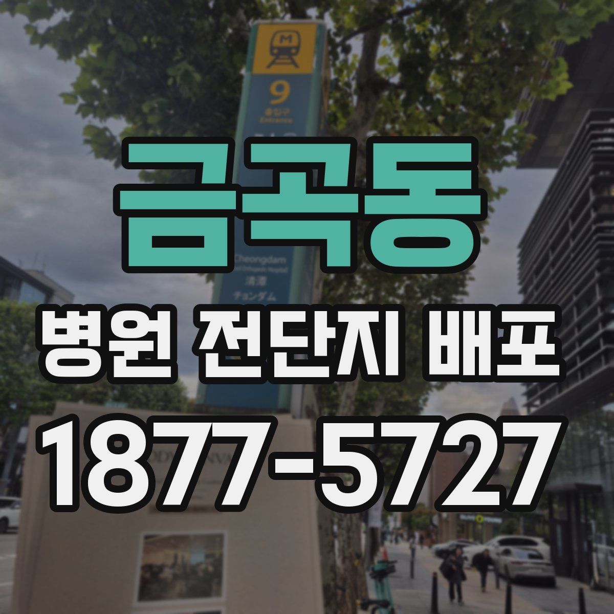 금곡동 병원 전단지 배포