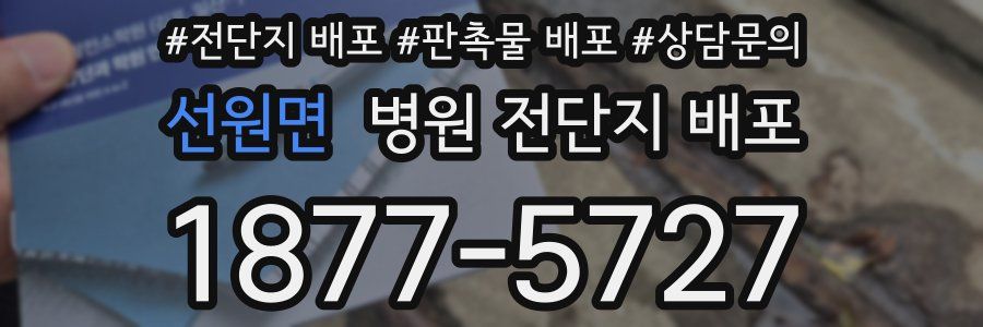 선원면 병원 전단지 배포