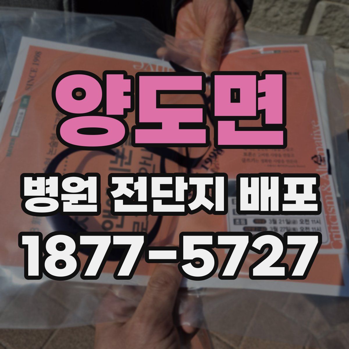 양도면 병원 전단지 배포