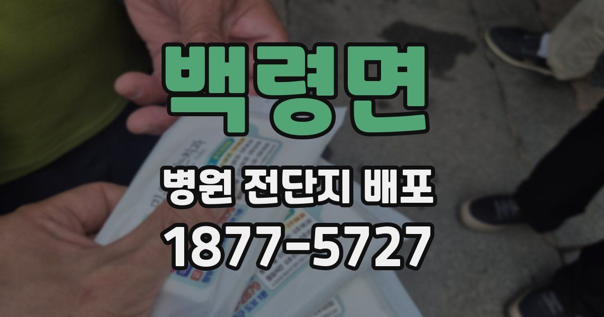 백령면 병원 전단지 배포