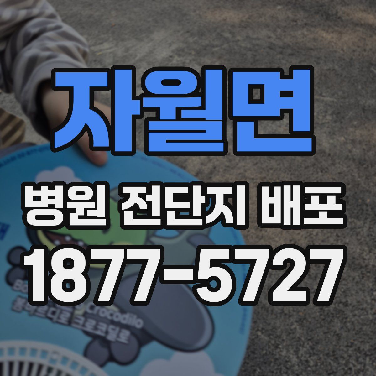 자월면 병원 전단지 배포