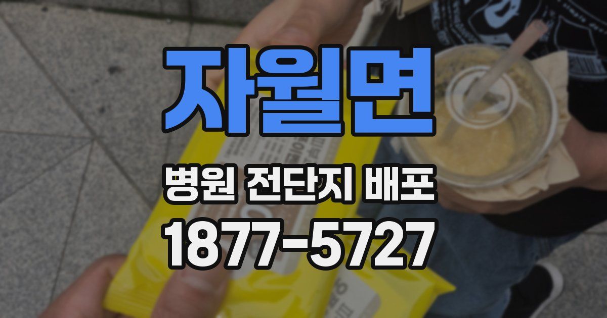 자월면 병원 전단지 배포