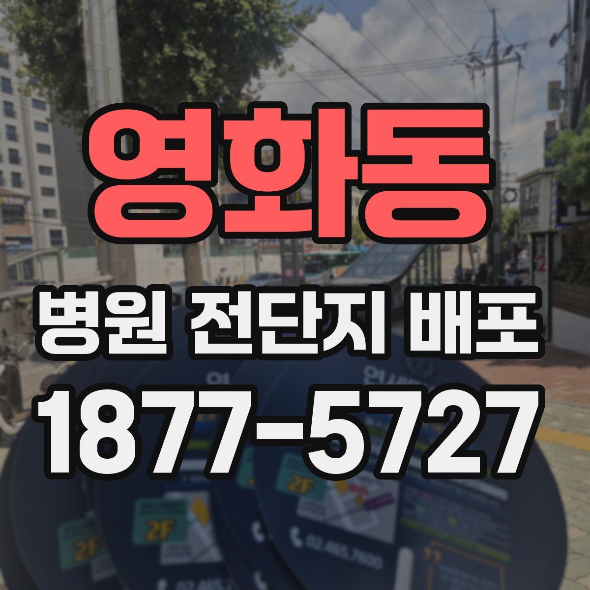 영화동 병원 전단지 배포