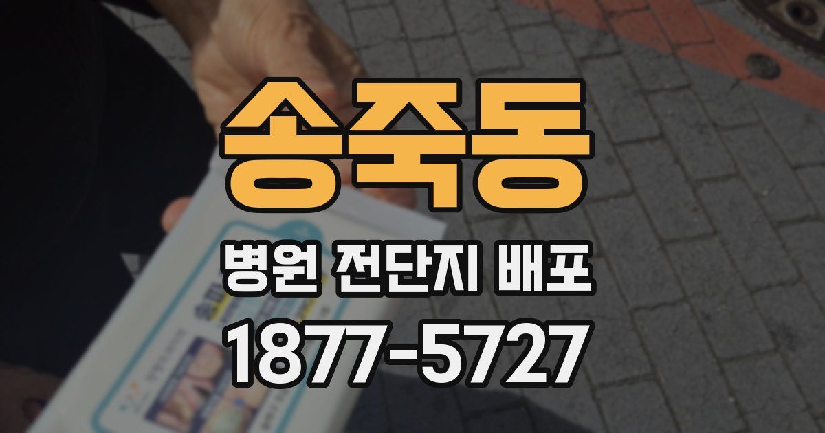 송죽동 병원 전단지 배포