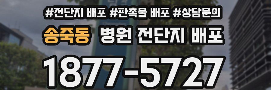 송죽동 병원 전단지 배포