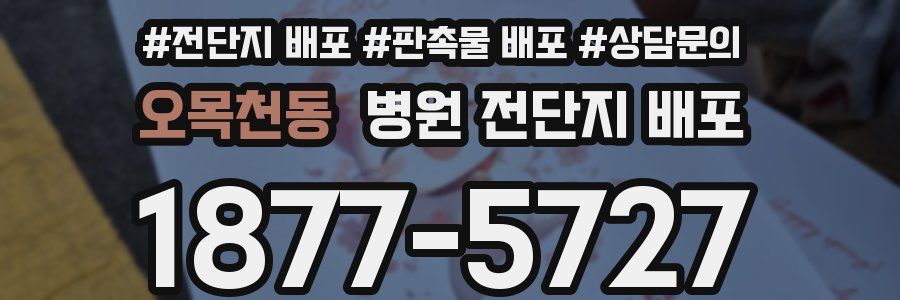 오목천동 병원 전단지 배포