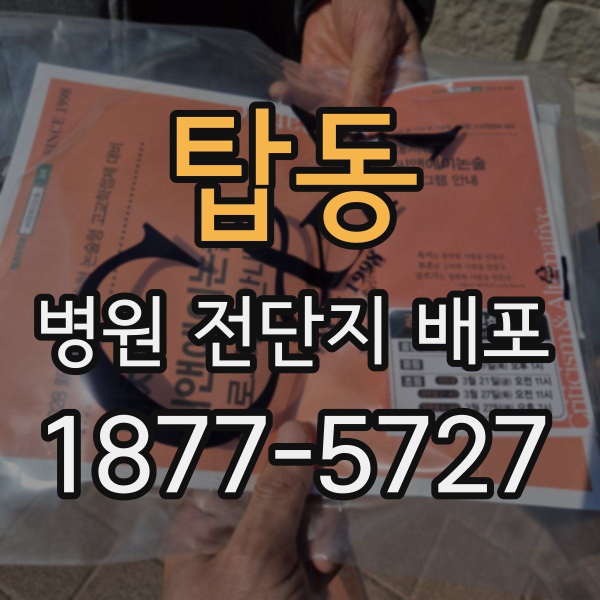 탑동 병원 전단지 배포
