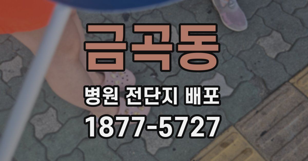 금곡동 병원 전단지 배포