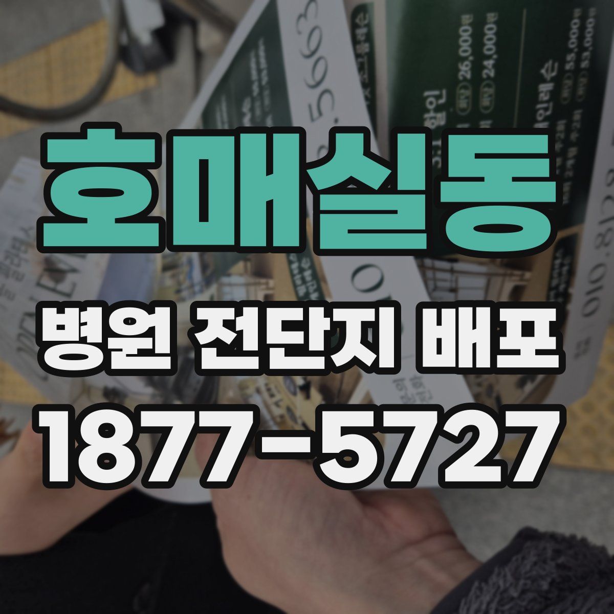 호매실동 병원 전단지 배포