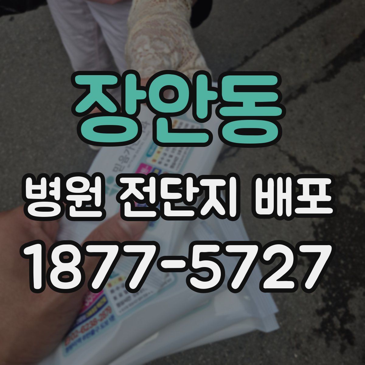 장안동 병원 전단지 배포