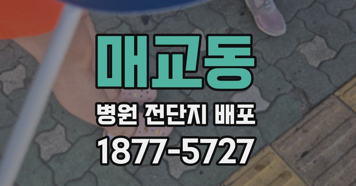 매교동 병원 전단지 배포