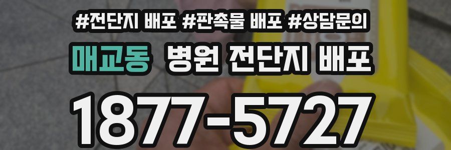 매교동 병원 전단지 배포