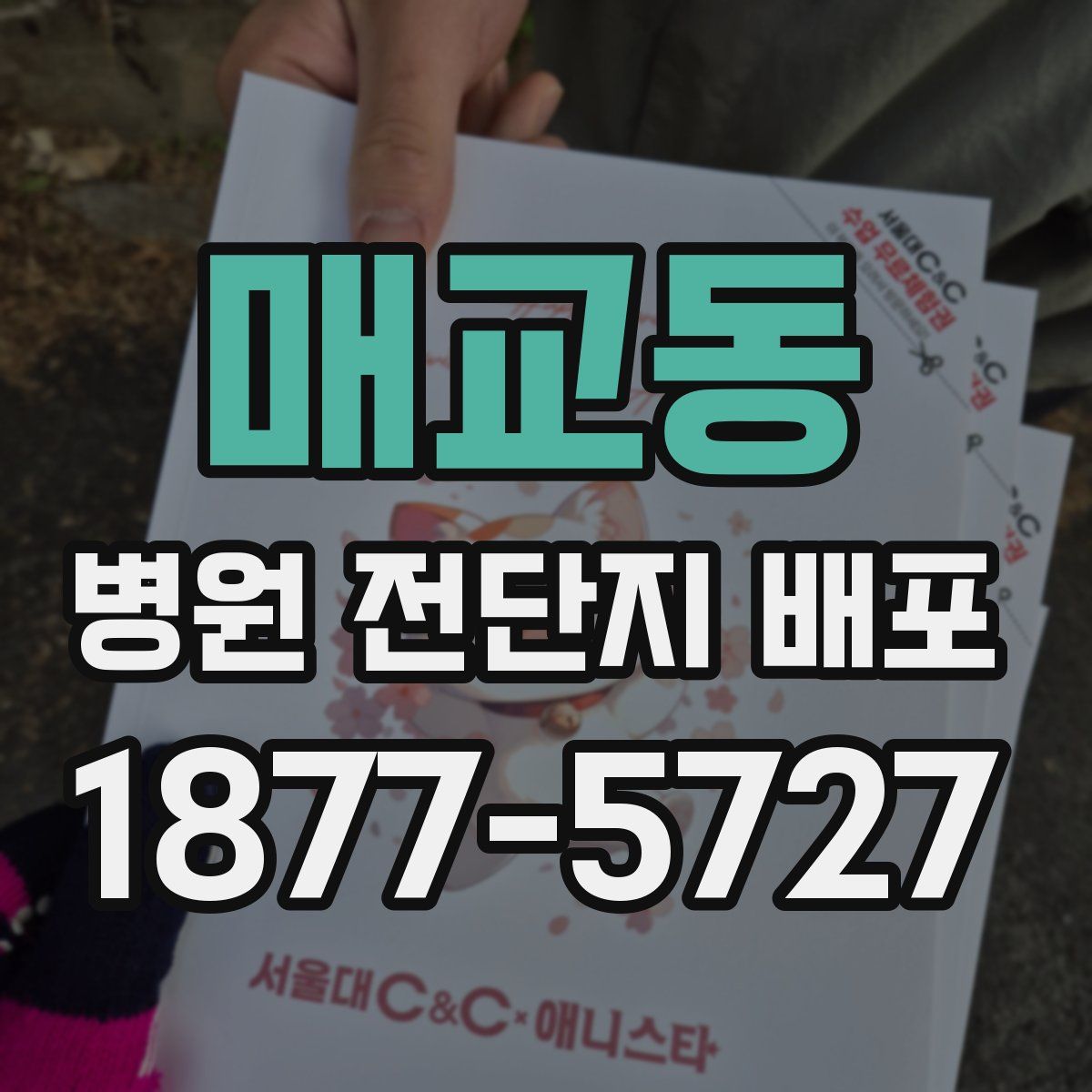 매교동 병원 전단지 배포