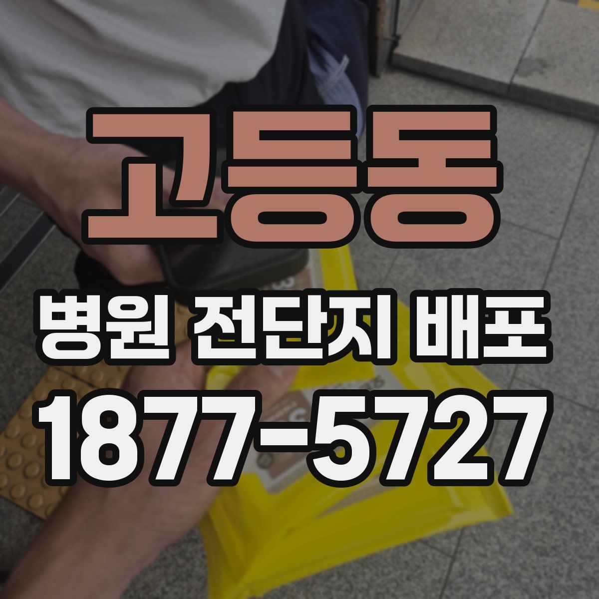 고등동 병원 전단지 배포