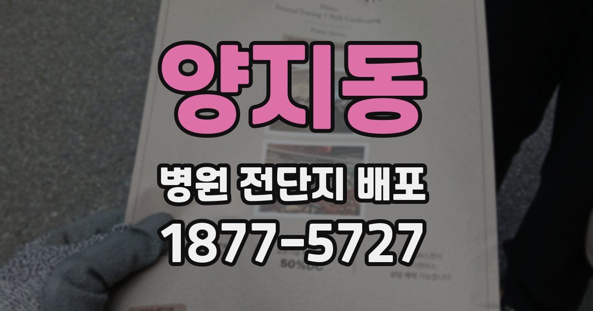 양지동 병원 전단지 배포