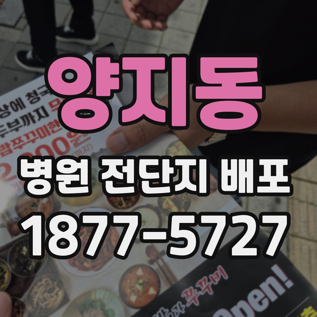 양지동 병원 전단지 배포