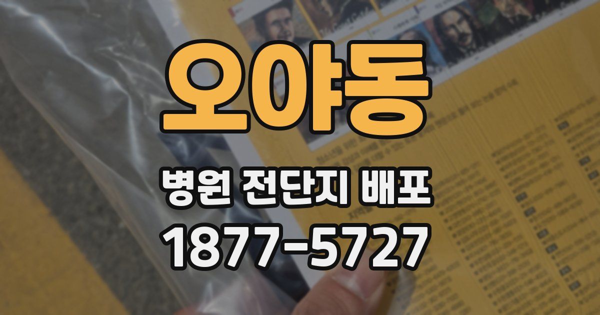 오야동 병원 전단지 배포