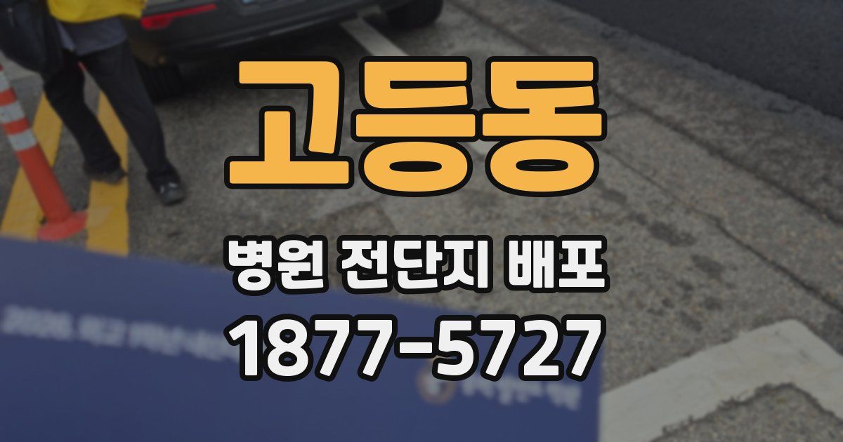 고등동 병원 전단지 배포