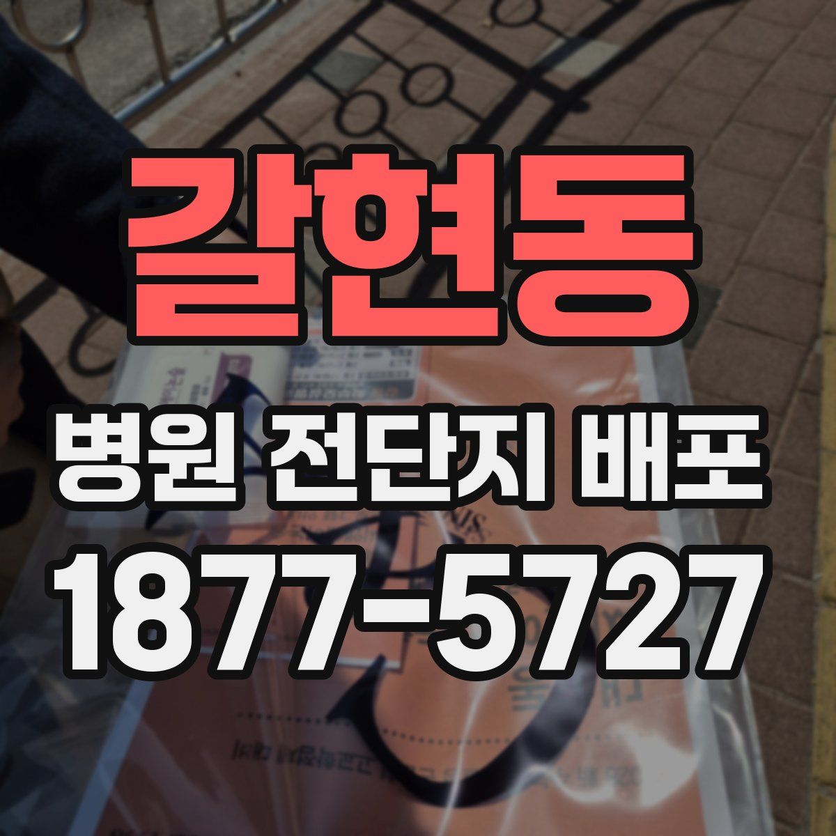 갈현동 병원 전단지 배포